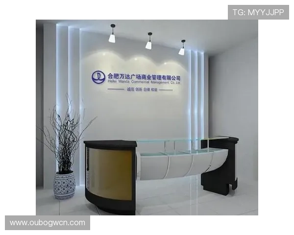 多宝视讯是哪里的公司详细介绍及其发展背景分析